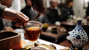 The Ultimate Brewing Guide for Pu'er Tea