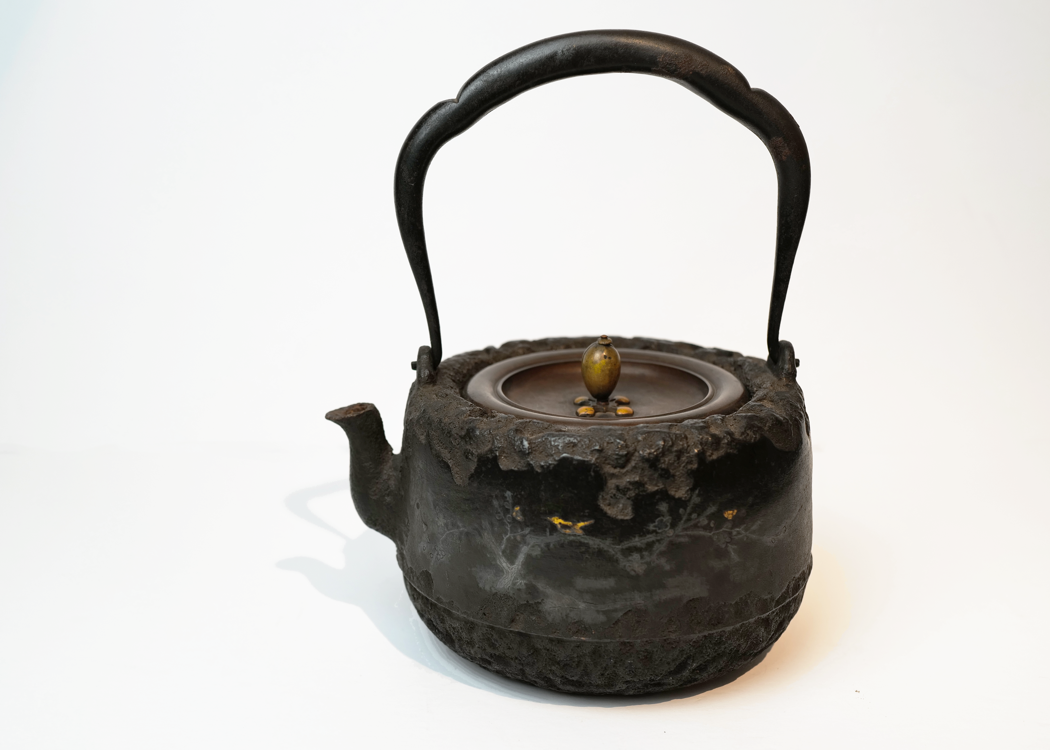 Ryubundo Gold and Silver Inlaid Iron Tea Kettle with Pattern of 