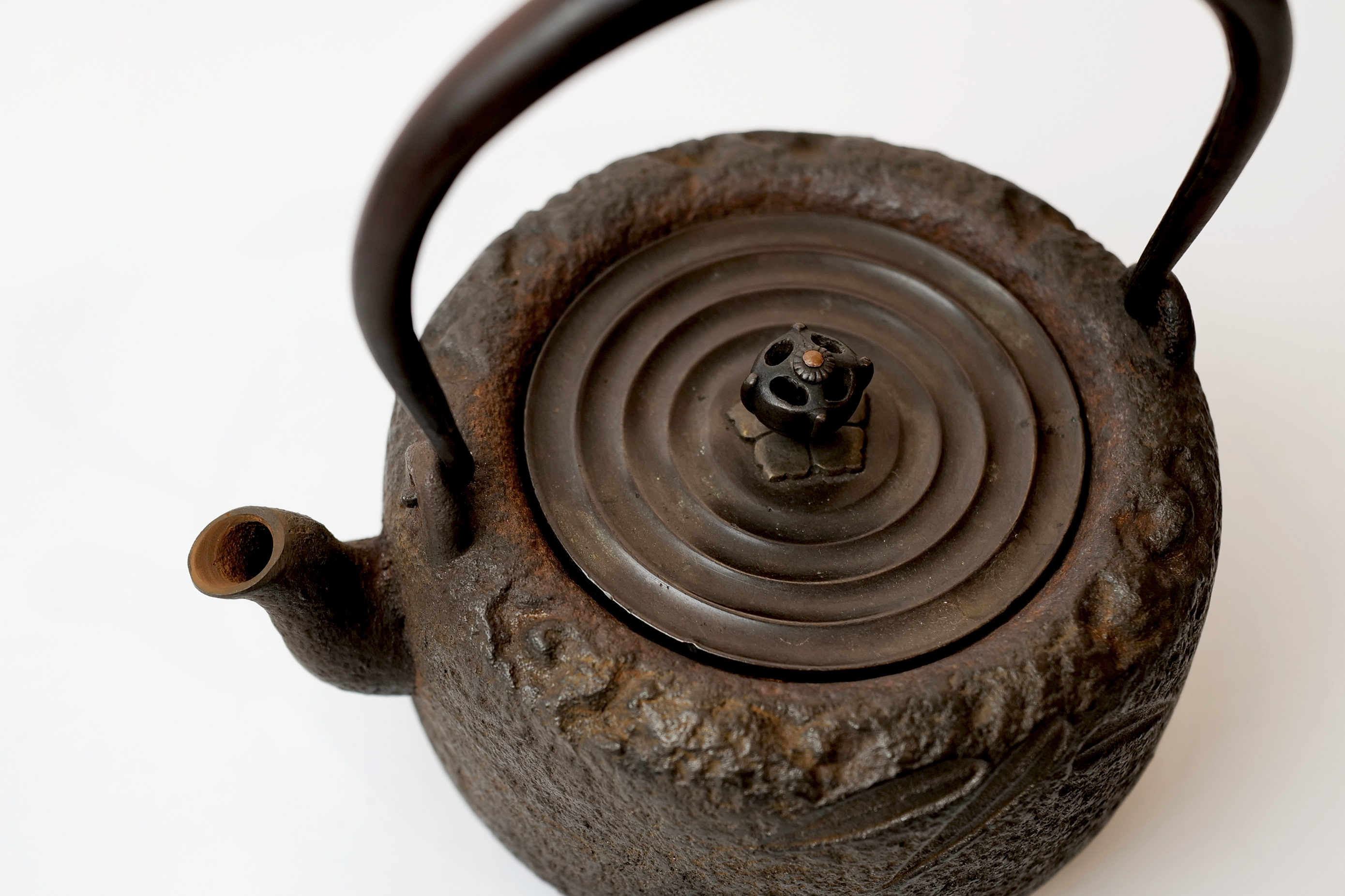 Iron Tea Kettle with Patterns of Bamboo Leaves【竹叶纹铁壶 